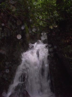 Jones Branch Falls
'The Chasm' that funnels water below the cliffs and to the top of the falls...
so much water spray in the air, was getting on the camera lens
