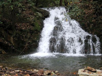 Martins Creek Falls 
Photo courtesy of Dave Aldridge
