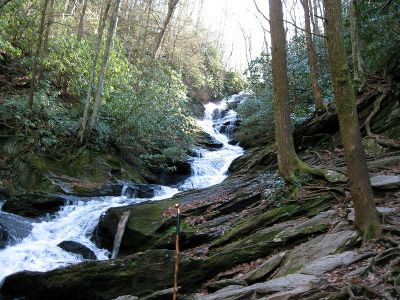 Roaring Fork Falls
Photo courtesy of Dave Aldridge
