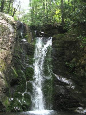 Wolf Creek Falls
Photo courtesy of Dave Aldridge
