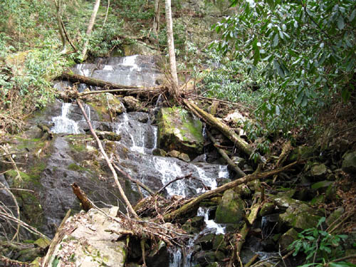 Jones Branch Falls