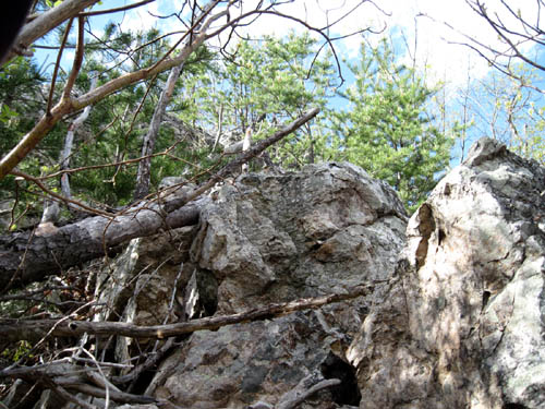 rocks on Sampson Mtn.