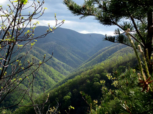 View from Sampson of Chigger ridge and Clarks Creek valley