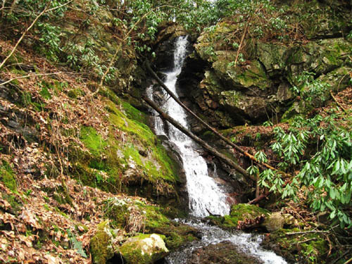 Simmons Branch falls (lower)