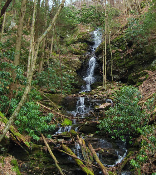 Simmons Branch Falls (upper)