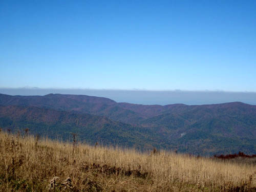 View from summit of Big Bald