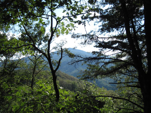 View of North side of Bluff Mountain from Lamb Knob