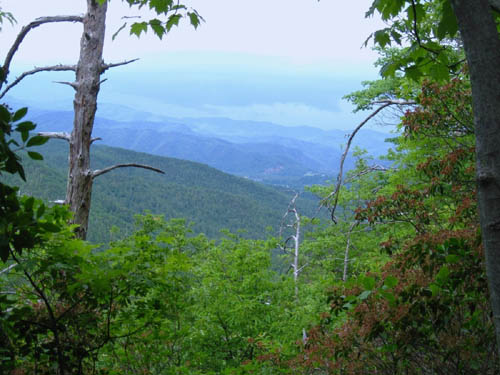 View from near Curly Maple Gap