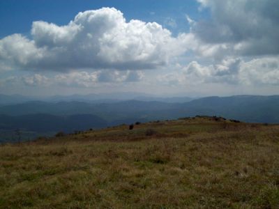 Whitetop Mountain
More views...
9-09
