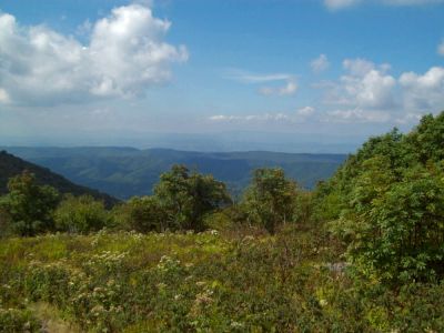 Whitetop Mountain
Descending the ridge towards 'VA 601'...
Rat's Birthday Hike, 2009
