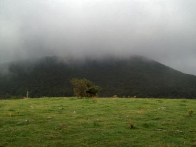 Elk Gardens
Clouds obscure our views of Whitetop Mountain on our approach...Day 4 of trip.  9-09

