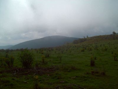 Whitetop Mountain
Seen from the meadow near Elk Garden,
9-09

