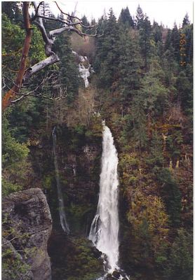 mill_creek_falls
photo donated by Betty Sabatini
