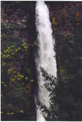 Mill Creek Falls, Oregon
photo by Betty Sabatini
