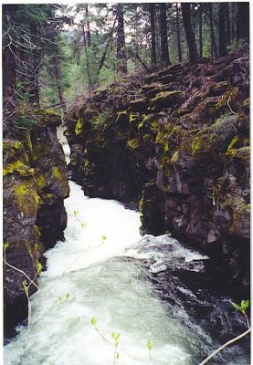 mill_creek_river
photo donated by Betty Sabatini
