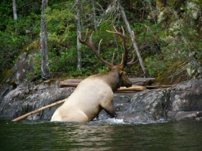 Elk Crossing Lake
photo by Betty Sabatini
