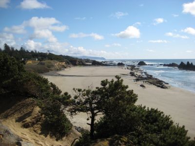 Oregon coast
Photo Courtesy of Debby Patten
