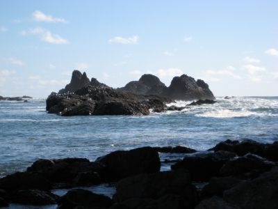 Oregon Coast
Photo by Debby Patten
