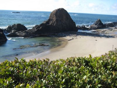 Oregon Coast
Photo Courtesy of Debby Patten
