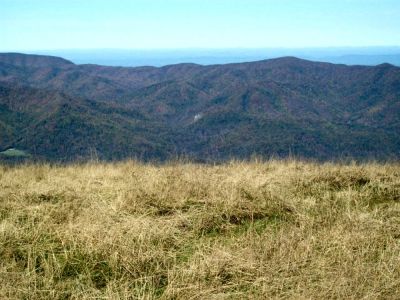 Big Bald
View...photo by Rat during trail maintenance work trip (10-20-2009)
