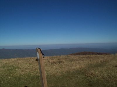  view from Big Bald 10-15-2008
