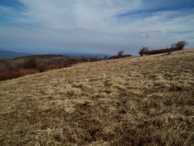 Big Bald 
Photo by Rat
3-10-2009
