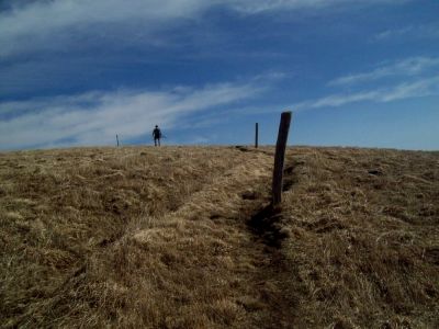 Big Bald 
Photo by Rat
3-10-2009
