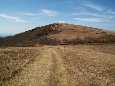 Big Bald 
looking back (South) at Big Bald 
Photo by Rat
3-10-2009

