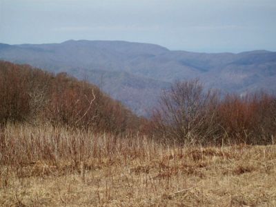 View From Big Bald
Photo by Rat
3-10-2009
