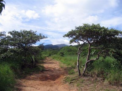  Photograph  by Lisa Lemmons-Powers
