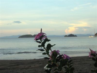  Photograph  by Lisa Lemmons-Powers
