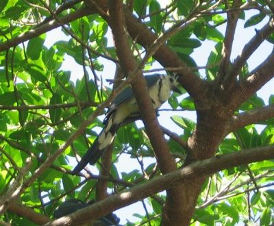  Photograph  by Lisa Lemmons-Powers
