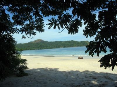  Photograph  by Lisa Lemmons-Powers
