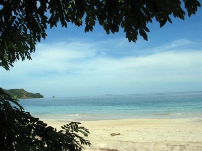  Photograph  by Lisa Lemmons-Powers
