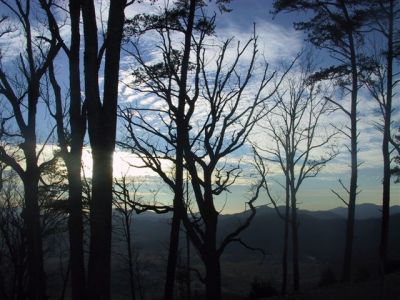 Smokies...
Photo by Lisa Lemmons-Powers
