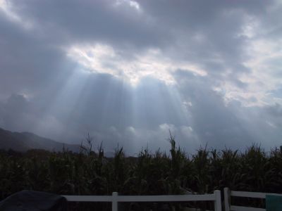 Sunrays_over_a_cornfield.JPG
