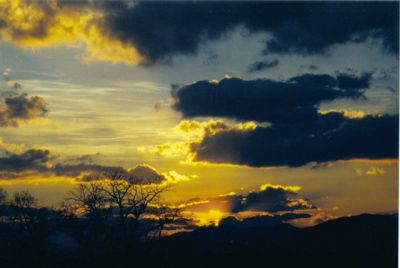 Yellow Sunset
Photo by Lisa Lemmons-Powers
