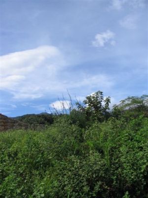  Photograph  by Lisa Lemmons-Powers
