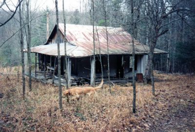 one of many houses in Lost Cove
Taken by RAT sometime in late 80`s
