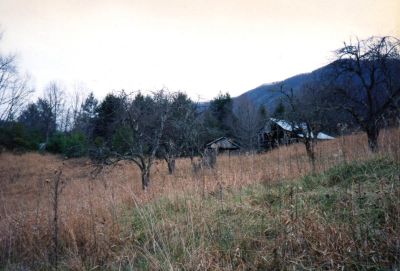 Lost Cove
View of Orchard and Barn...
Photo by Rat
sometime in late 80`s

