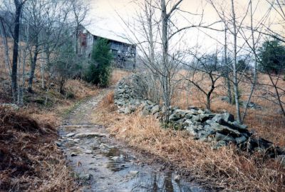 old road by barn in Lost Cove
Taken by RAT sometime in late 80`s
