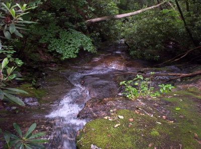 Top of Mill Creek Falls
Taken by Bol'Dar 6-09
