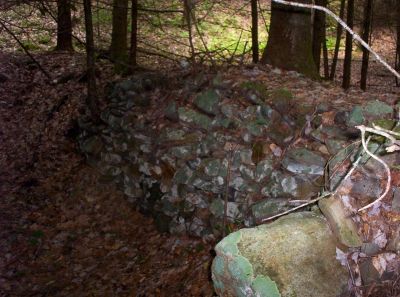 Old Rock Foundation In Mill Creek
June, 2009
