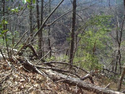 OomBa Ba-Gumba spot 
View of 'the spot' on the Middle Ridge (no zoom from Meat-grinder Ridge) 
