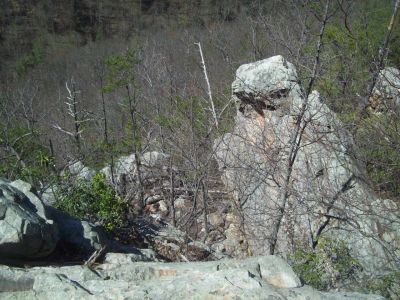 Sill Branch Overlook
Giant 'Bird Rock'
