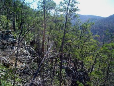 Sill Branch Overlook
Its gnarley, and very serious moving around on these rock cliffs

