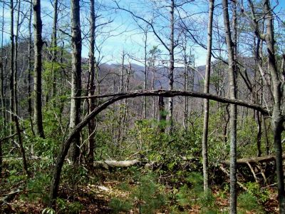 Meatgrinder Ridge
Under and over and upwards
