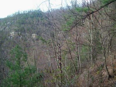 Sill Branch Overlook
As seen from the old log road trail on the Middle Ridge
