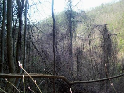 View From The 'Middle' Ridge
Looking over towards the Sill Branch Overlook
