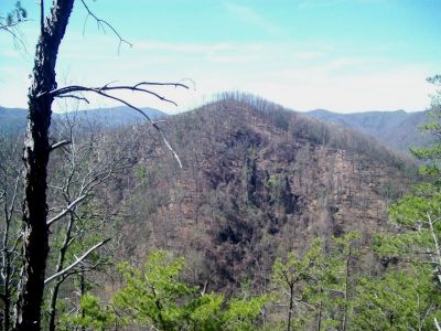 View From Sill Branch Overlook
Making our way down to the rocks for the first time
